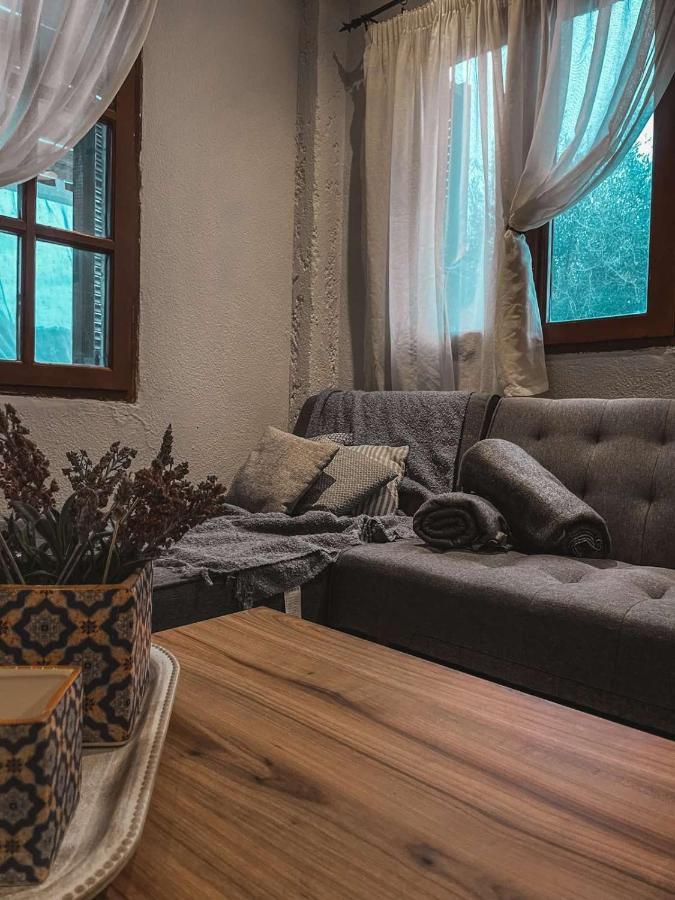 Apartment Olga Nea Skioni